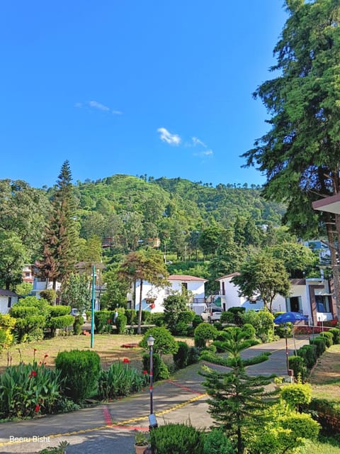 Garden, View (from property/room)