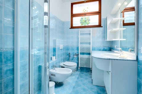 Toilet, Bathroom, bidet