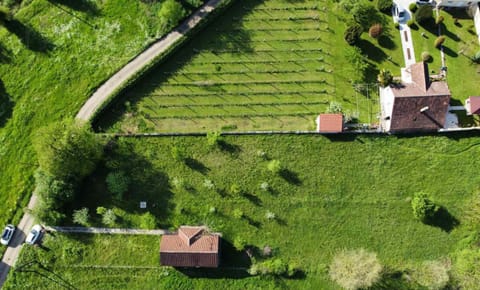 Property building, Bird's eye view, Garden view