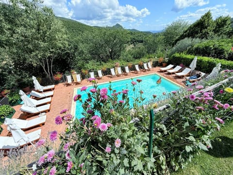 Garden, Swimming pool
