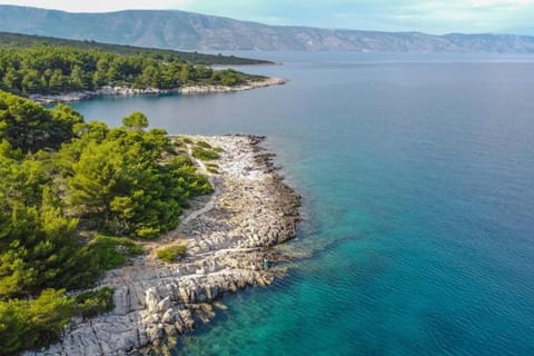 Dragana Apartment in Vrboska