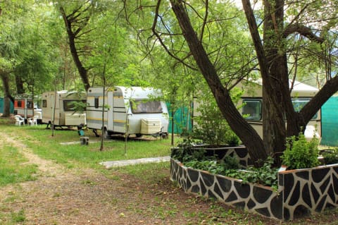Area and facilities