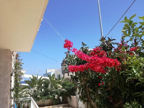 Garden, View (from property/room)