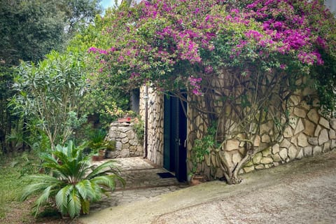 Property building, Balcony/Terrace, Dining area