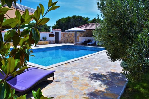 Patio, Day, Garden, Garden view, Swimming pool, sunbed