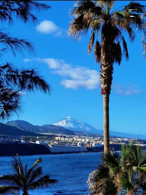 Nearby landmark, Natural landscape, City view, Mountain view, Sea view