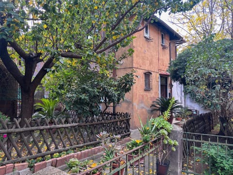 Property building, Garden view