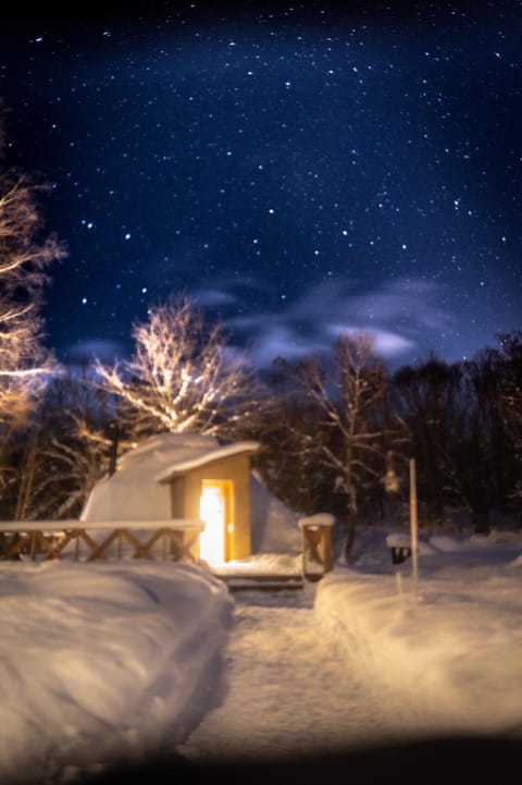 Night, Winter