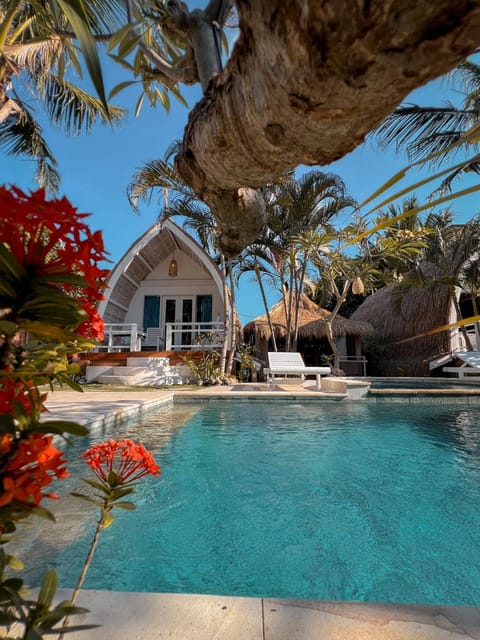 Day, Pool view, Swimming pool, sunbed