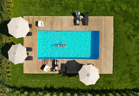 Garden, Swimming pool, group of guests, sunbed