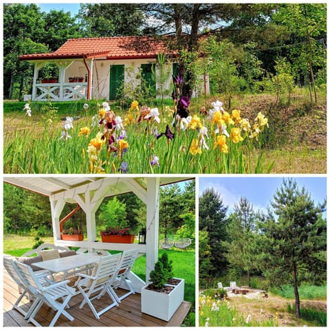 Property building, Garden, Balcony/Terrace, Garden view