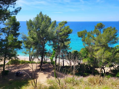 Natural landscape, Beach