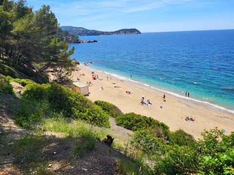 Natural landscape, Beach
