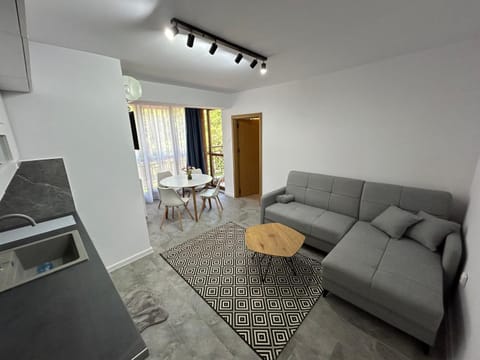 Living room, Seating area, Dining area, air conditioner