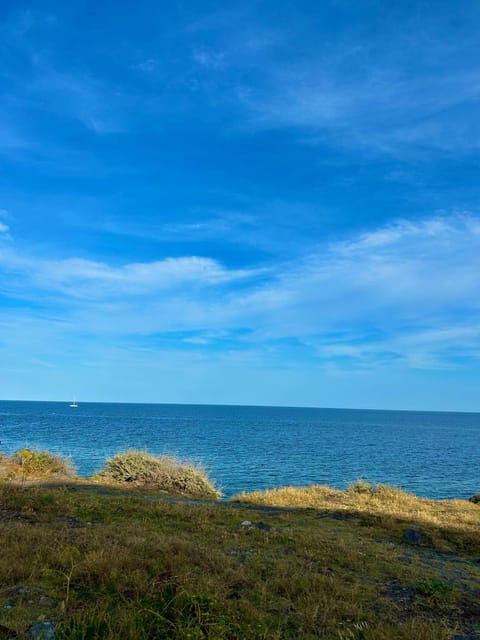 Natural landscape