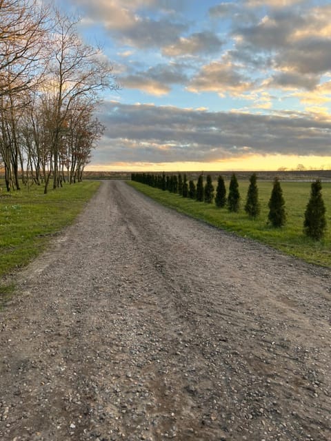 luxury apartment Curchi 2 Apartment in Billund