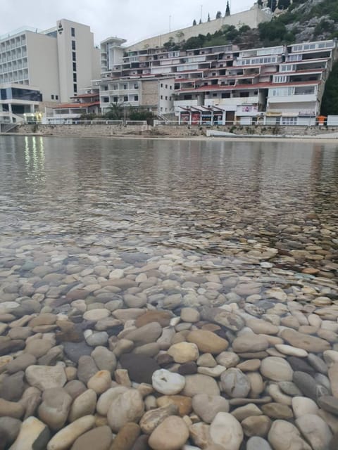 Property building, Natural landscape, Beach