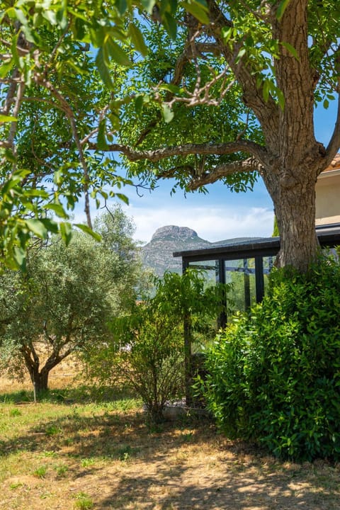 Garden, Mountain view