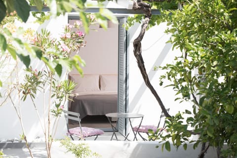 Patio, Garden, Garden view