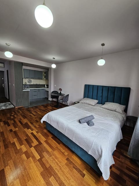 Central sweet apartment self check-in Apartment in Timisoara