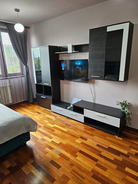 Central sweet apartment self check-in Apartment in Timisoara