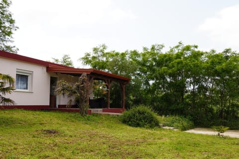 Property building, Day, Garden view