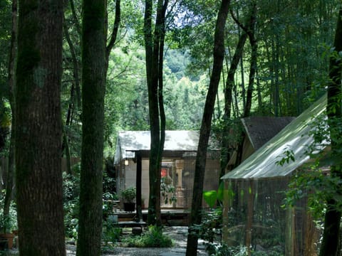 Day, Garden, Garden view
