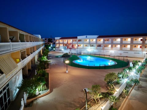 Night, Garden, Garden view, Swimming pool, Swimming pool