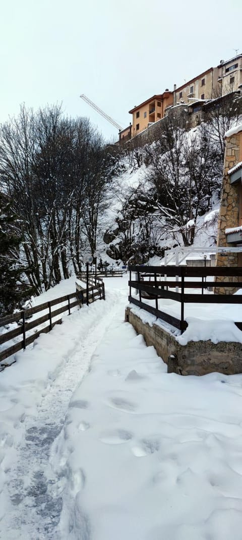 Winter, Area and facilities