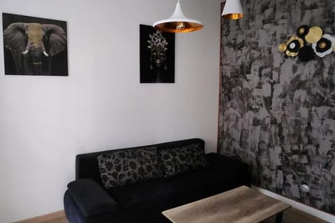 Charmant appartement cosy en hyper-centre Apartment in Tours