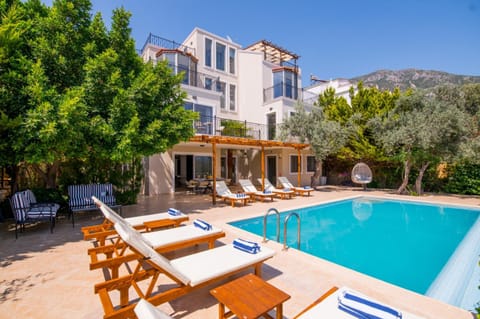 Patio, Natural landscape, sunbed