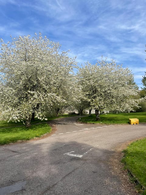 Culloden Stables 4 Apartment in Scotland