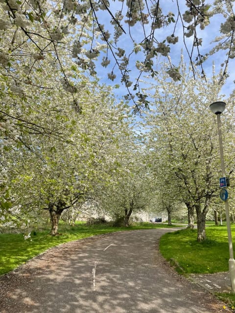 Culloden Stables 4 Apartment in Scotland