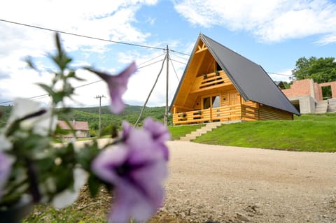 Property building, Spring, Day, Garden