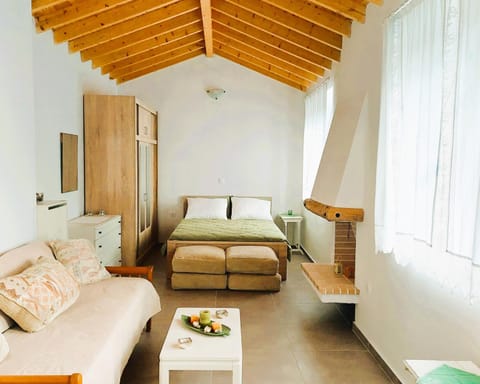 Bed, Living room, Photo of the whole room, Seating area, Bedroom, fireplace, fireplace, wardrobe