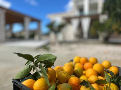 Rafaelia Premium villa with private pool in Drepano Villa in Argolis, Greece