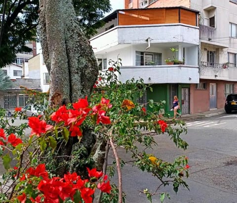 Property building, Street view