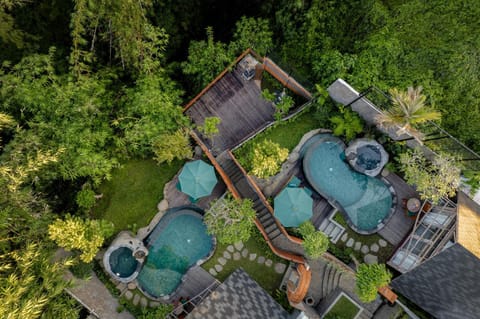 Pool view, Swimming pool