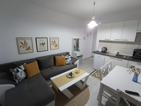 Kitchen or kitchenette, Living room, Seating area, Dining area, oven, pet friendly, stove