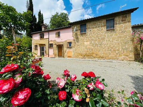 Property building, Garden, Garden view