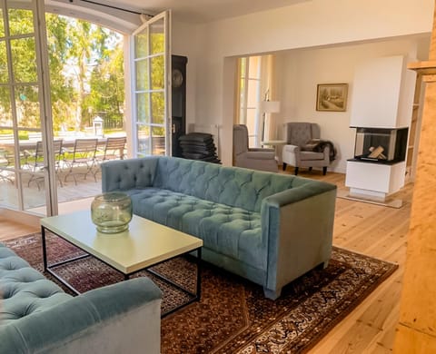 Balcony/Terrace, Living room, fireplace