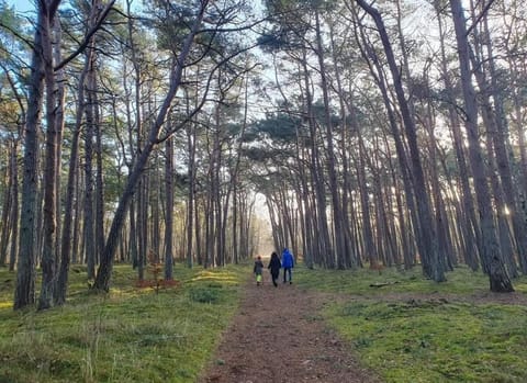 La casa de los Kasa apartament 1 Apartment in West Pomeranian Voivodeship, Poland