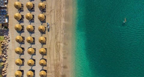 Natural landscape, Bird's eye view, Beach, sunbed