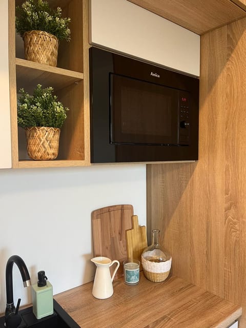 Kitchen or kitchenette, microwave, wardrobe