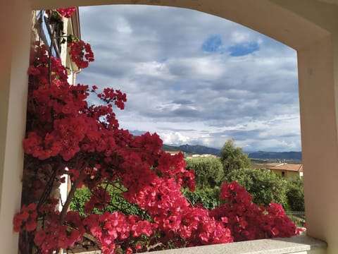 La terrazza sul golfo Apartment in Sardinia