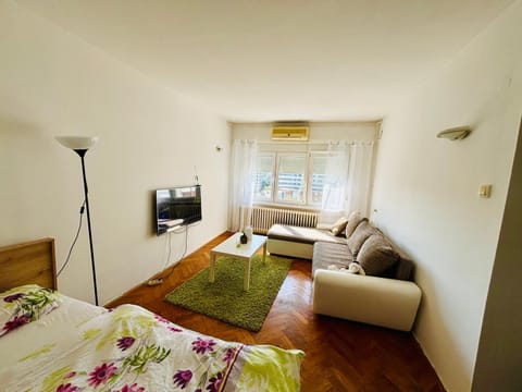 Mia Apartman Apartment in Novi Sad