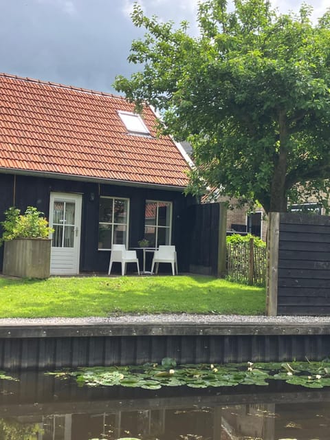Property building, Garden, Garden view