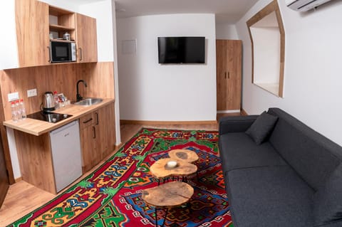 TV and multimedia, Kitchen or kitchenette, Living room, Seating area, Dining area, stove, air conditioner