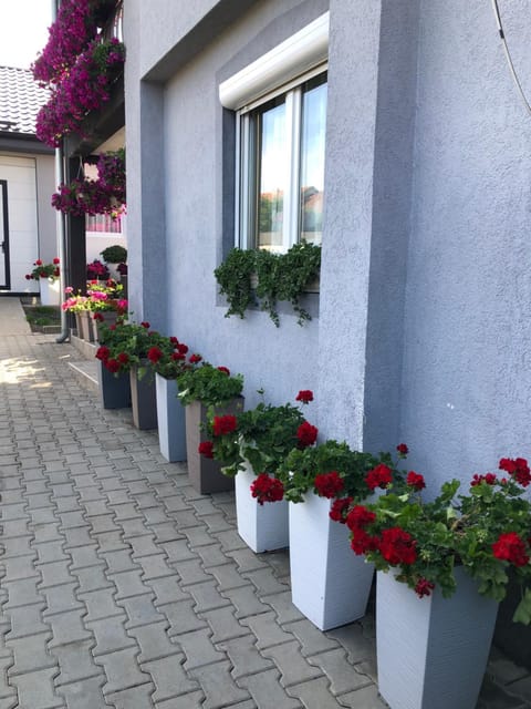 Kristina House Villa in Serbia