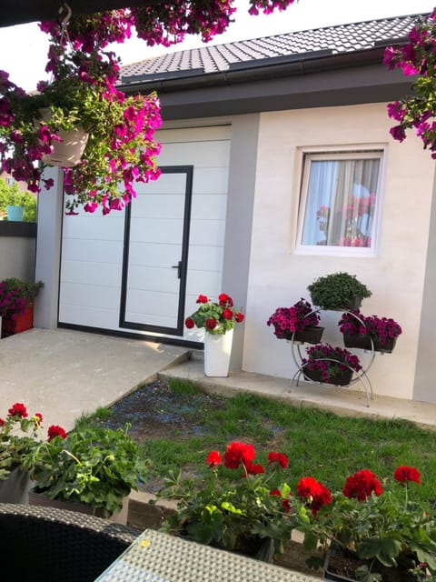 Kristina House Villa in Serbia